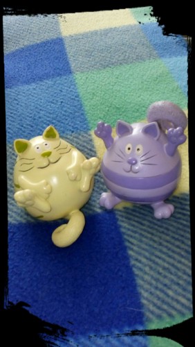 IMG_20180430_133735_786.jpg IMG_20180430_133735_786.jpg