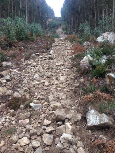 10455290_966301860046704_7715460478368798762_n.jpg 10455290_966301860046704_7715460478368798762_n.jpg