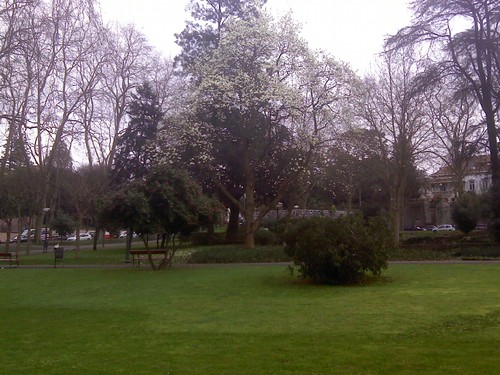 Magnólia florida do Jardim d'Arca d'Água