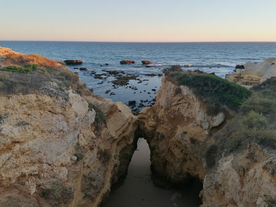 IMG_20200819_201032.jpg IMG_20200819_201032.jpg