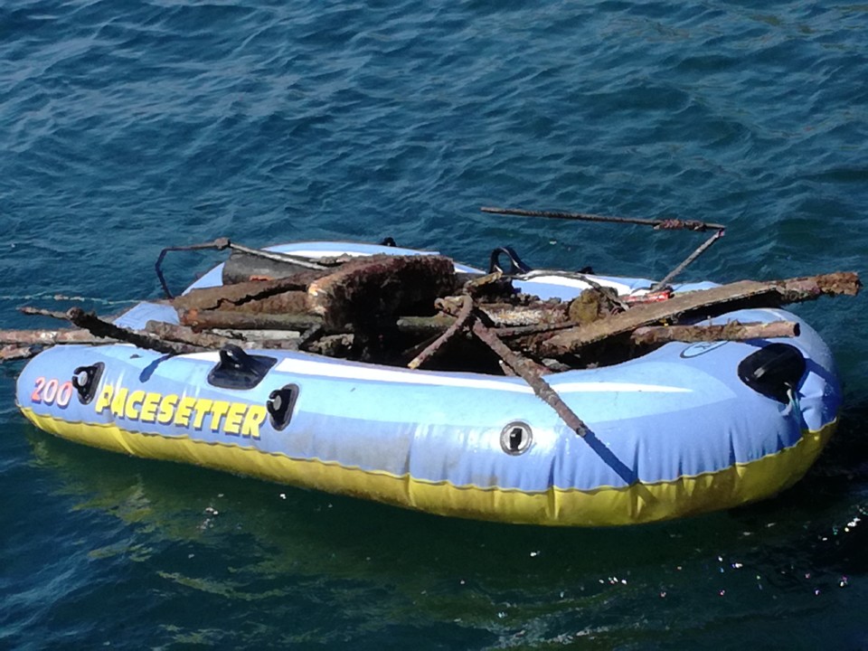 IMG_20190602_113535.jpg IMG_20190602_113535.jpg