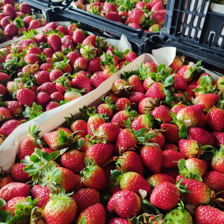 426606675_775367694620643_1861017067050190495_n.jp