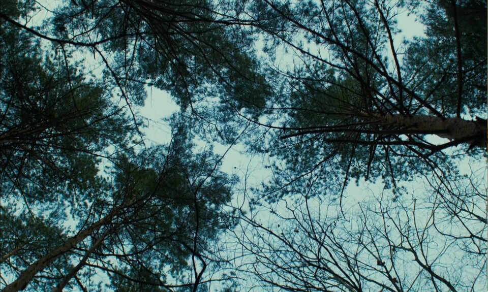 O mal nao esta aqui _ início.jpg