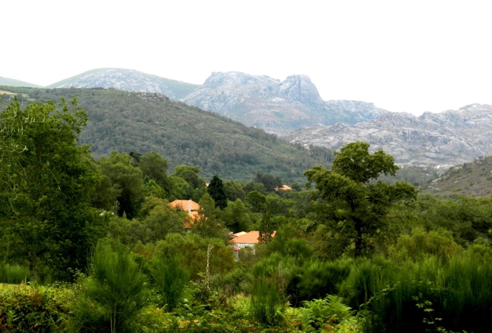 821 b c l -Vido.JPG 821 b c l -Vido.JPG