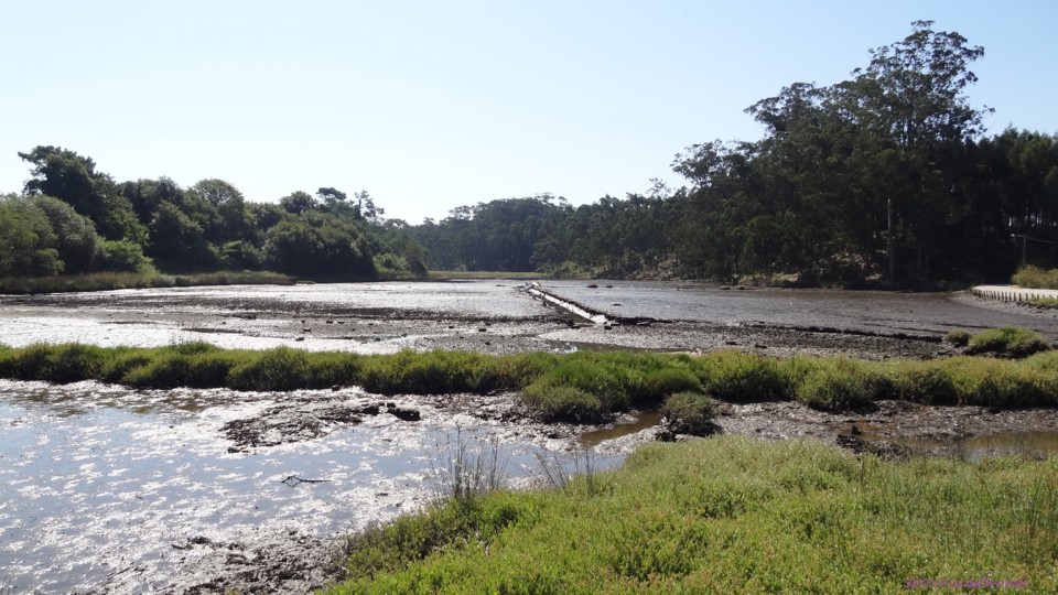 DSC07939.JPG DSC07939.JPG