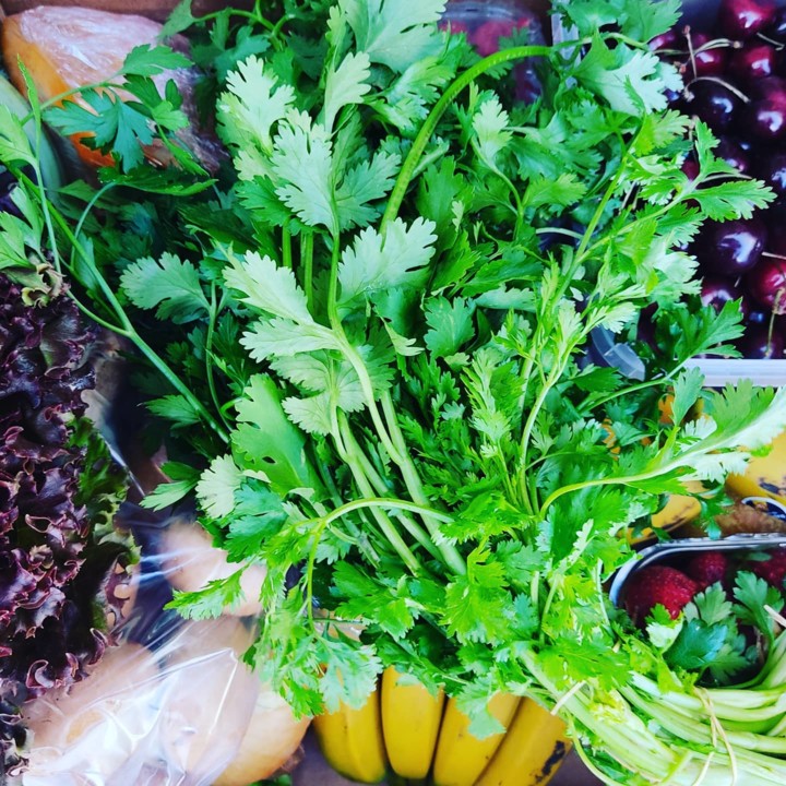 200300433_2050283858444698_4343527172038209681_n.j 200300433_2050283858444698_4343527172038209681_n.j