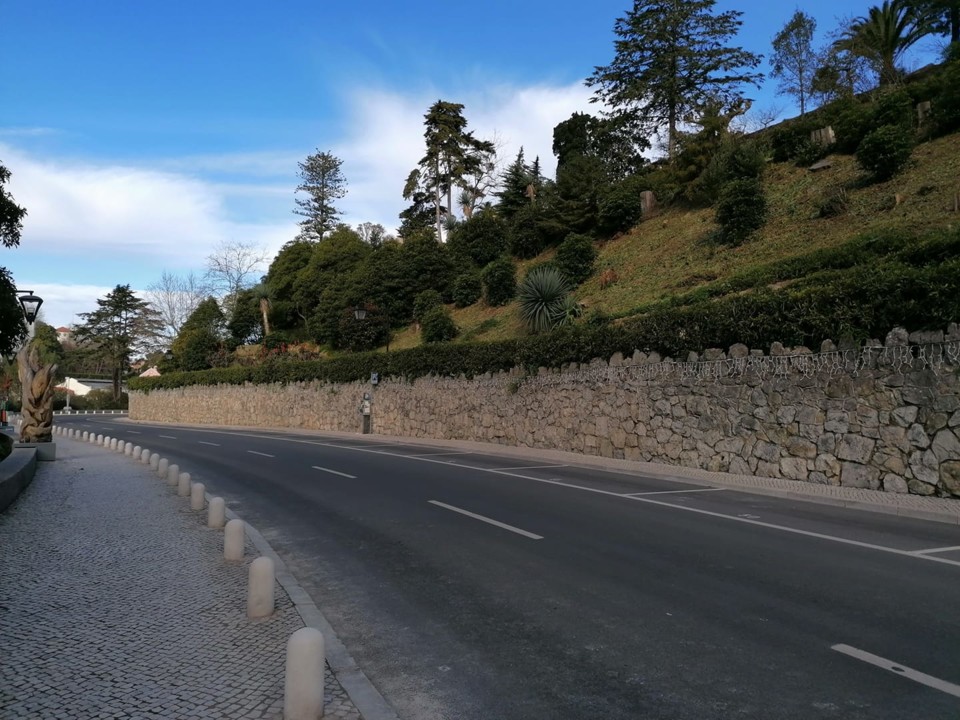 136455185_10157997083268565_7617311996921876872_o.