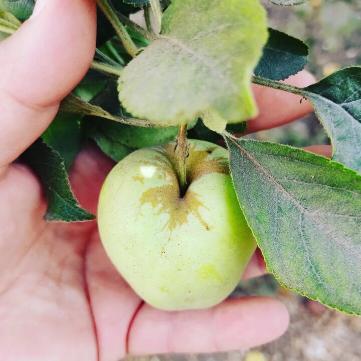 298783357_2385683788238035_5414241741548972883_n.j