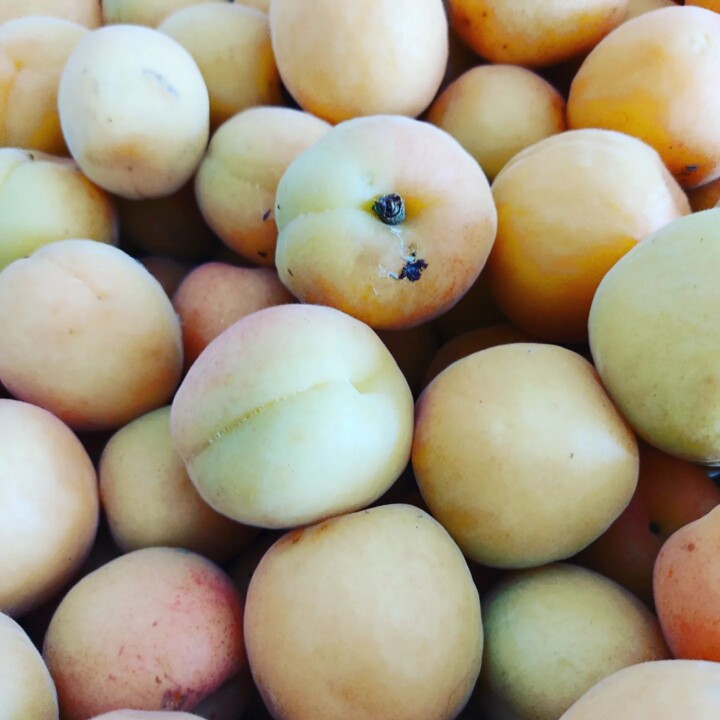 285259598_2328202933986121_1687293489591824838_n.j