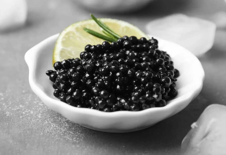 caviar-3.webp