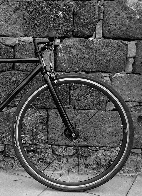 roll1_I.jpg roll1_I.jpg