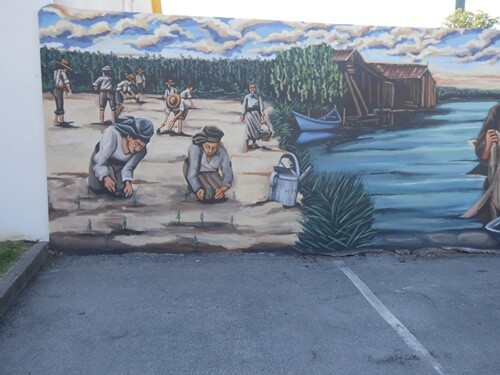 05c_Praia_de_Mira (58).JPG