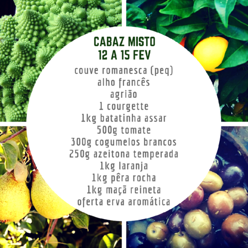 CabazMisto12a15Fev.png