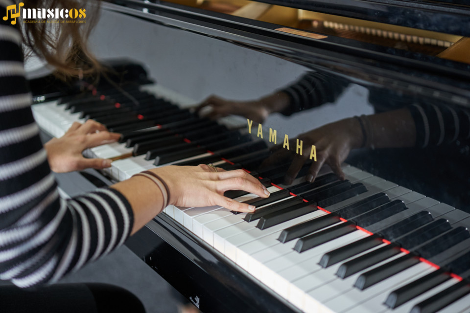 Recital de Musica Erudita dOs Musicos