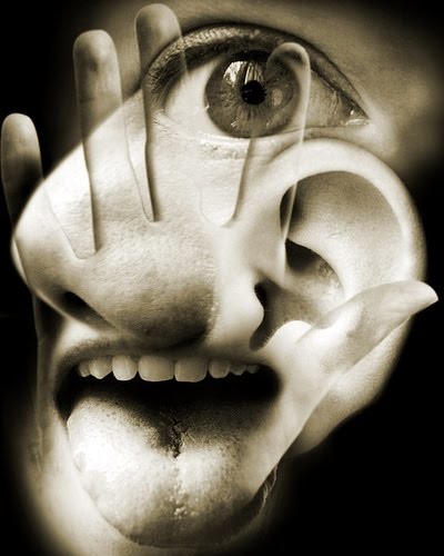 Sentidos diferentes.jpg Sentidos diferentes.jpg