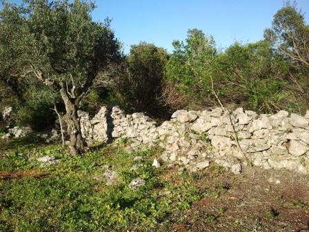 penedos gordos_3.jpg