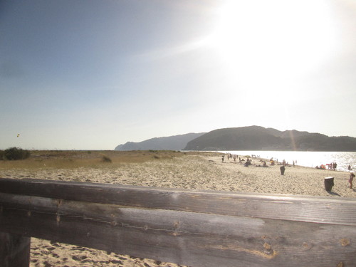 IMG_4391.JPG IMG_4391.JPG