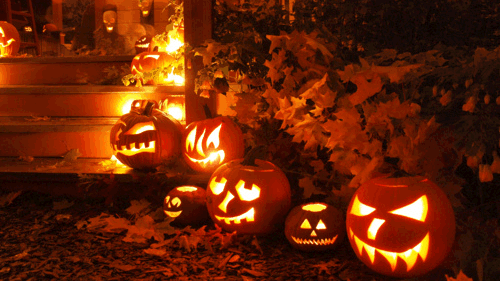 tumblr_static_tumblr_static_filename_640.gif tumblr_static_tumblr_static_filename_640.gif