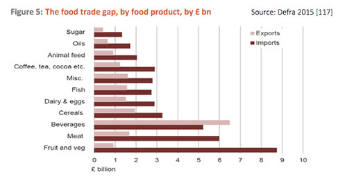 Uk-Food-Trade-Gap.jpg