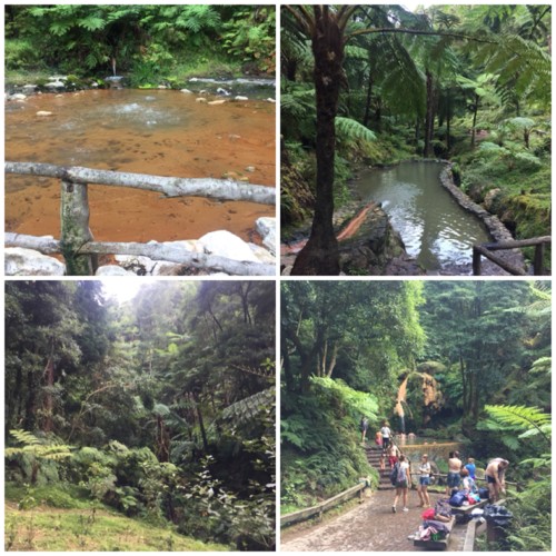 34723227-C734-4731-B0B1-1546CC54BDD5.jpeg 34723227-C734-4731-B0B1-1546CC54BDD5.jpeg