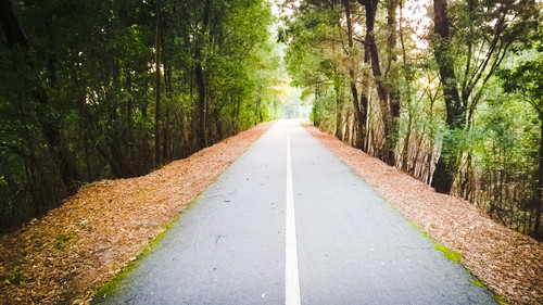 AdobePhotoshopExpress_41c45c8d88ab4bf18d2da863a993