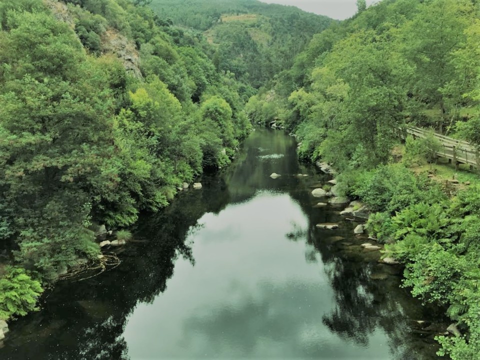 rio paiva.jpg