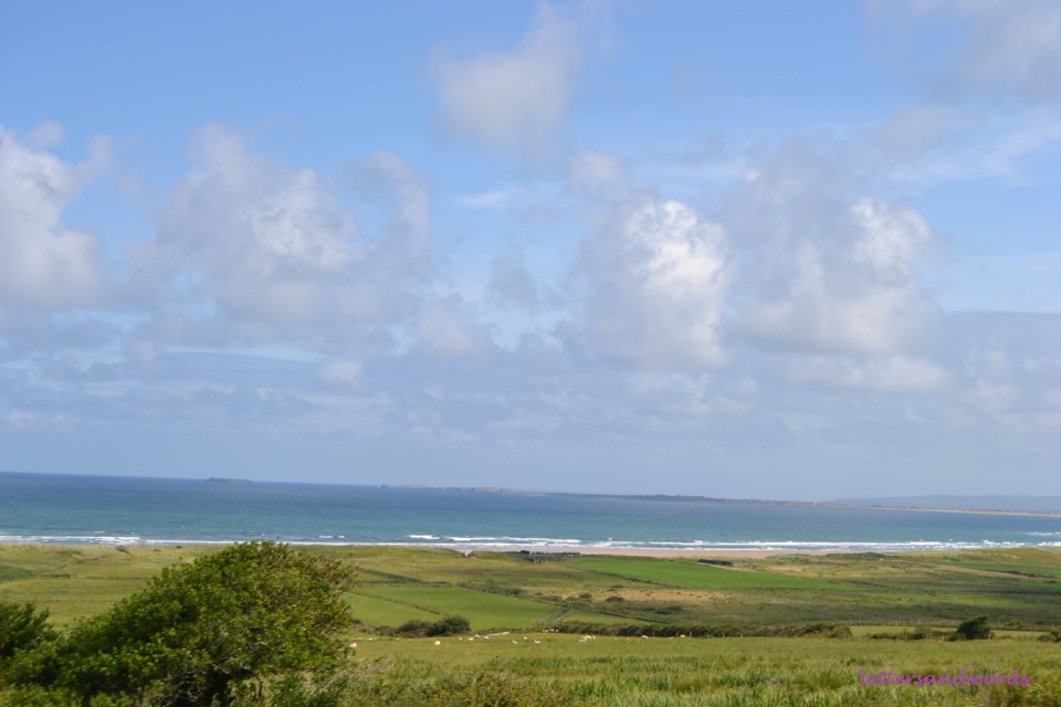 DSC_0136.JPG DSC_0136.JPG