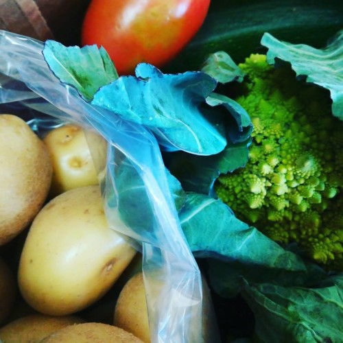 51899499_1307426982730393_7797004588875251712_n.jp