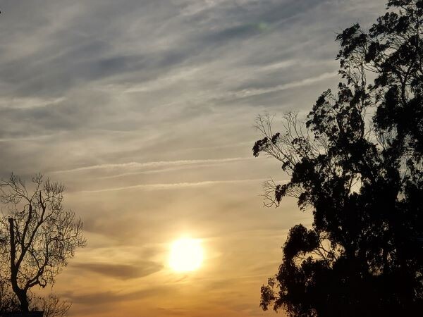 1000019252 - Cópia.jpg