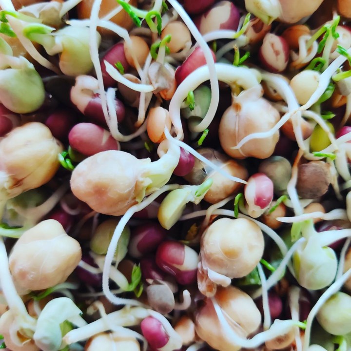 278571267_2293715504101531_459765915162419117_n.jp