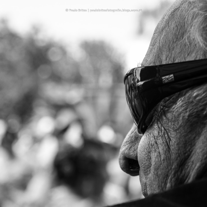 DSC_11559-1-3.jpg DSC_11559-1-3.jpg