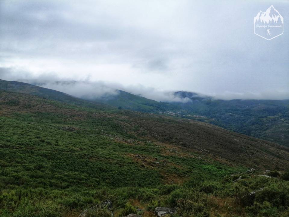 Photo_1597132329149.jpg Photo_1597132329149.jpg