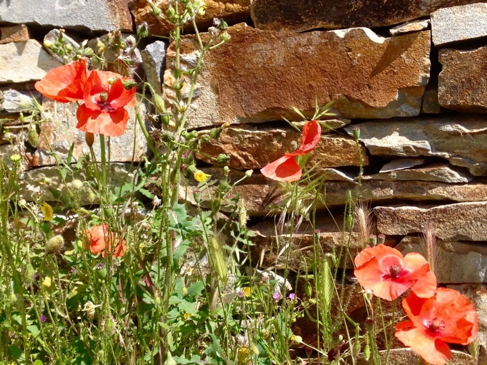 FullSizeRender (2).jpg FullSizeRender (2).jpg