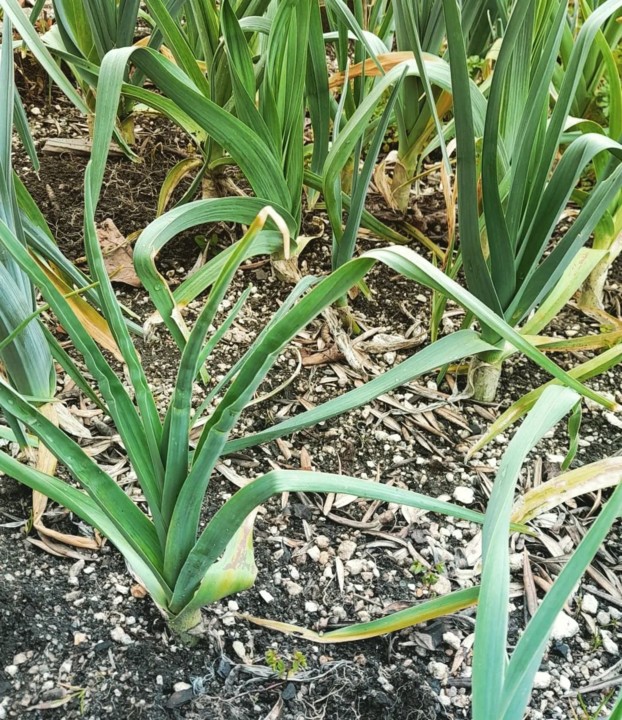 278429600_2289035124569569_1627154948941648895_n.j