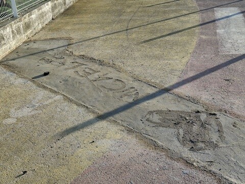 31a_Caminhada_matinal (14).jpg