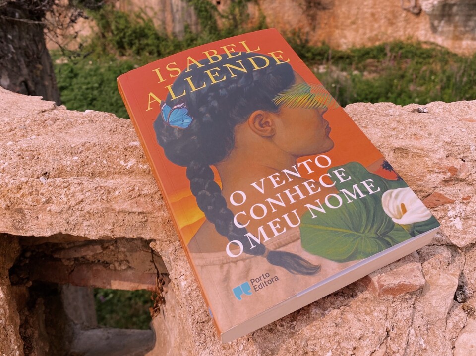 o vento conhece omeunomecapa.jpg