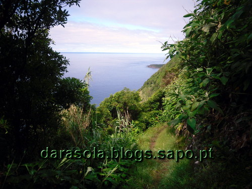 azores_flores_faja_lopo_Vaz_06.JPG azores_flores_faja_lopo_Vaz_06.JPG