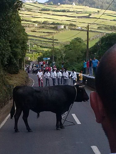 Tourada na Cova da Serreta