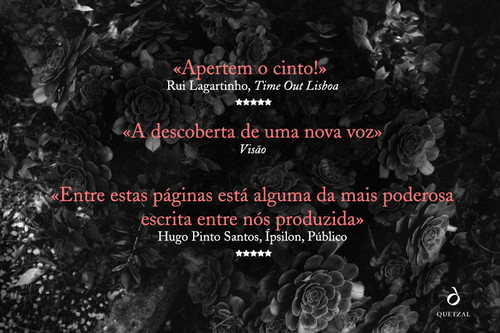 postal_ana_amsterdam (4).jpg postal_ana_amsterdam (4).jpg