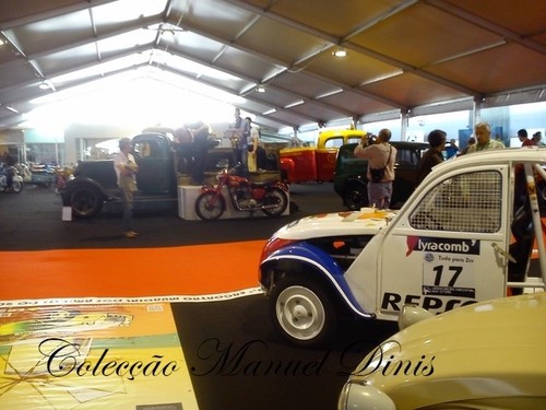 XXV Automobilia 2017 (143).jpg