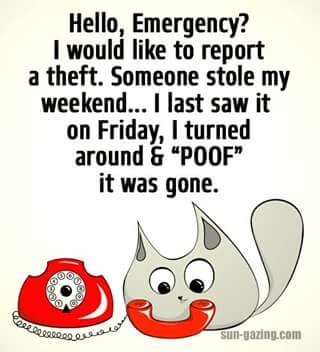 IMG_83429033884183 (1).jpeg