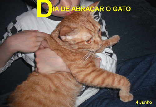 abraço.JPG abraço.JPG