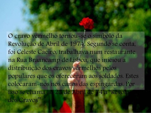 abril25-cravos1.jpg