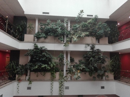 IMG_20180630_075936.jpg IMG_20180630_075936.jpg