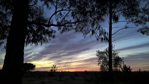 Ao Pôr-do-Sol sobre Fernão Ferro 16...francisfot