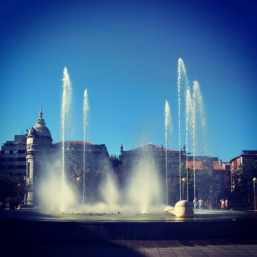 11831703_1679925512228921_9035354660410875174_n.jp