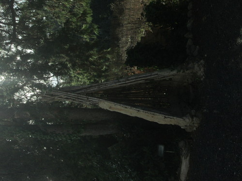 IMG_4463.JPG IMG_4463.JPG