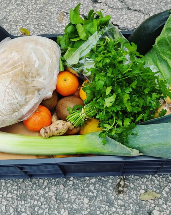 401809598_722964026527677_8926122944298883239_n.jp