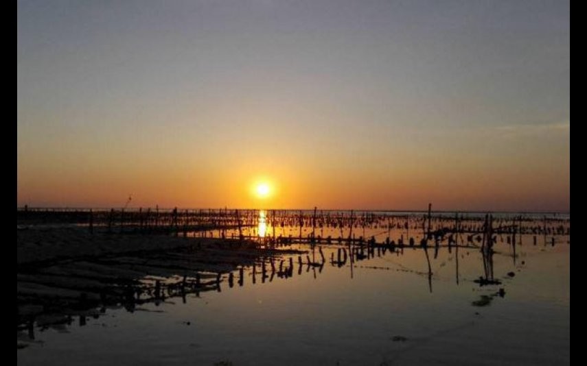 nova-gente-73518-noticia-joana-duarte-assume-namor nova-gente-73518-noticia-joana-duarte-assume-namor