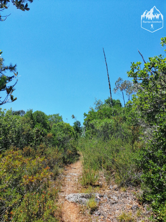 Photo_1596312526458.jpg Photo_1596312526458.jpg